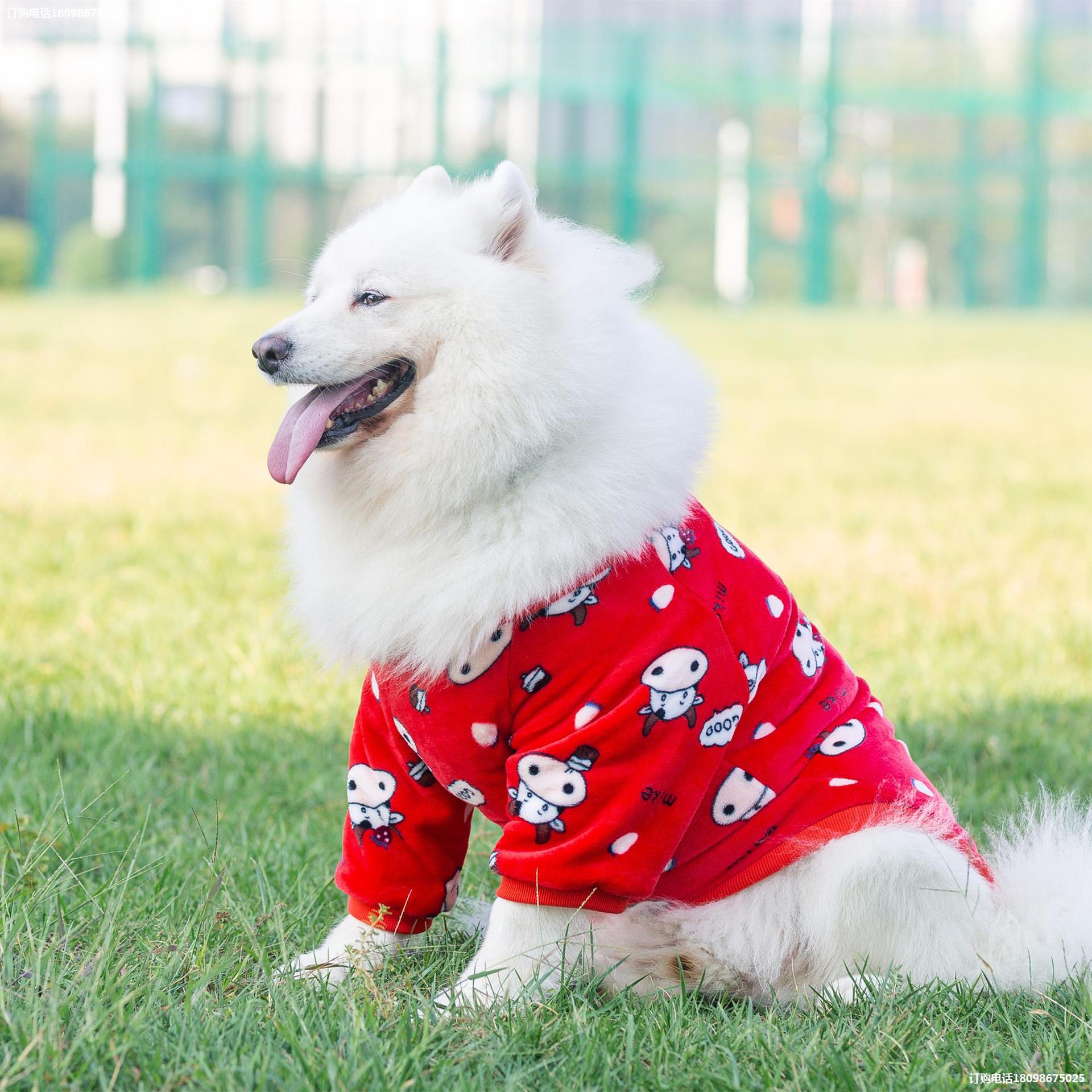 Pet Fashion Transformation Clothing Dress Suit
