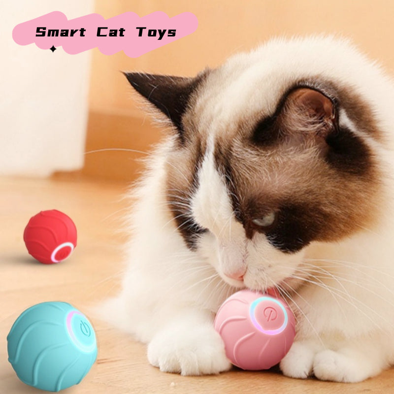 Smart Pet Rolling Ball Interactive Automatic USB Teasing Toy