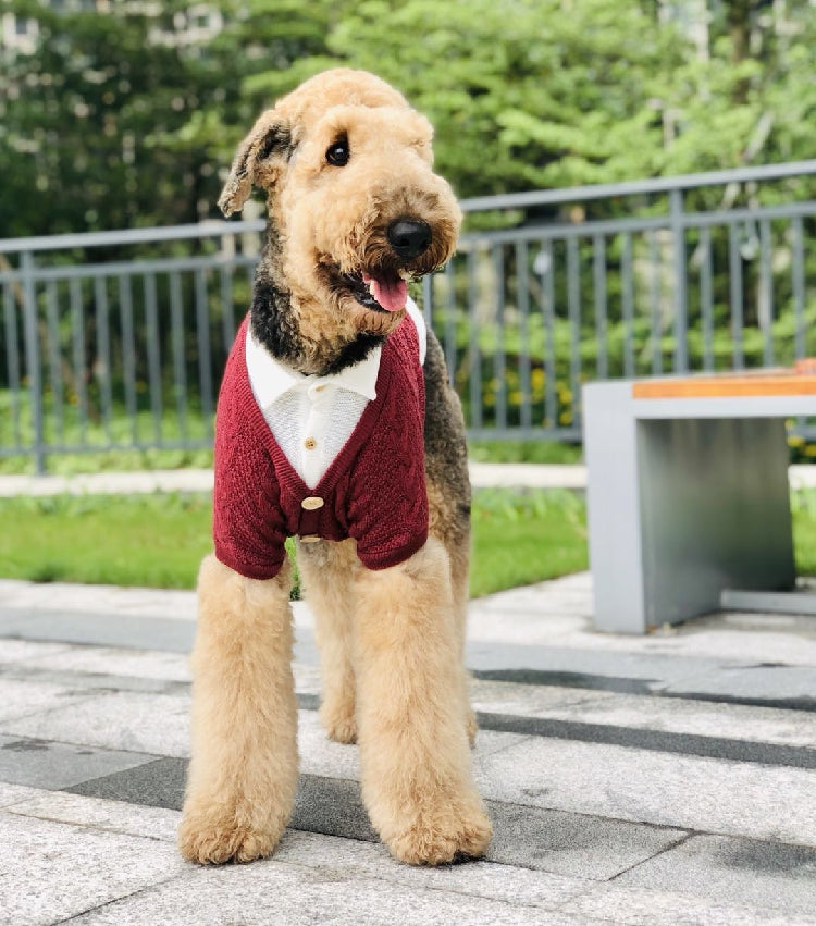 Fake Two Piece Pet Cardigan Large Clothing Sweater