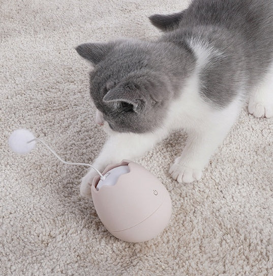 Funny Pet Interactive Toy Entertainment Enrichment Accessory