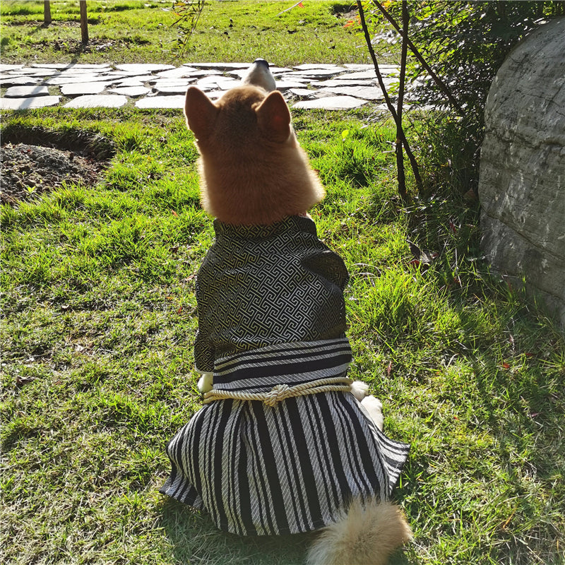 Pet Samurai Zephyr Style Clothing Suit