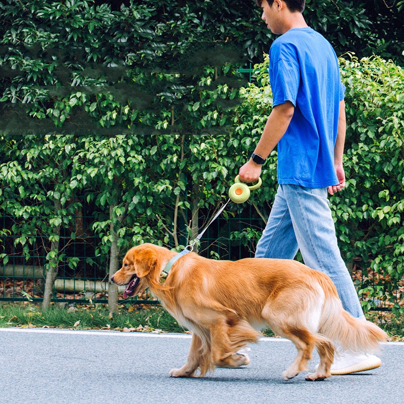 Retractable Pet Reflective Leash Walking Rope Tool