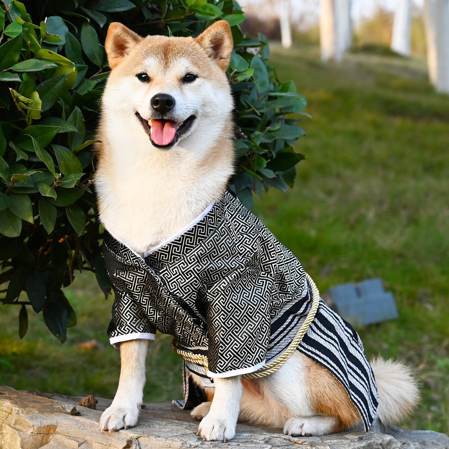 Pet Samurai Zephyr Style Clothing Suit