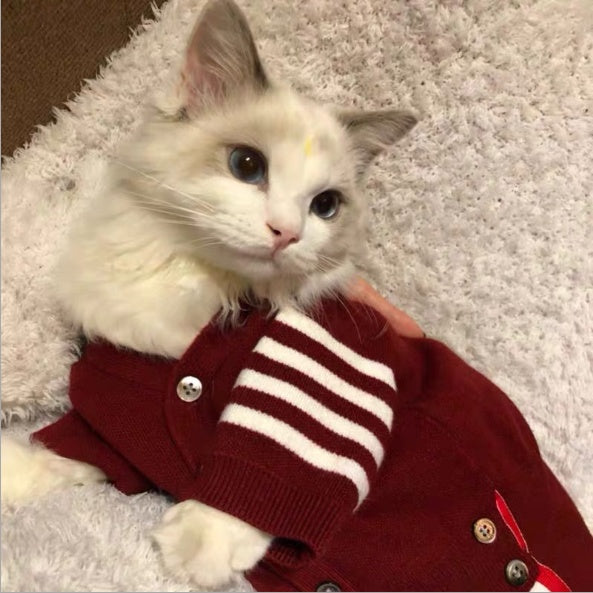 Pet Cat Clothing Comfort Outfit Suit