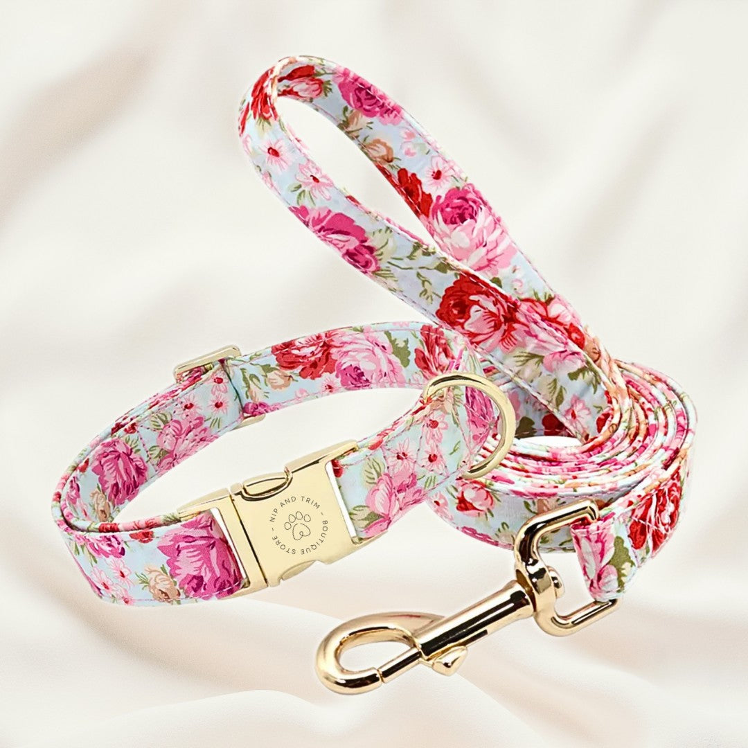 Custom Pet Collar ID Tag Lettering Identity Card