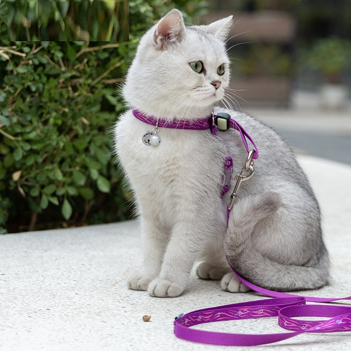 Pet Bell Chest Harness Vest Leash Walking Set