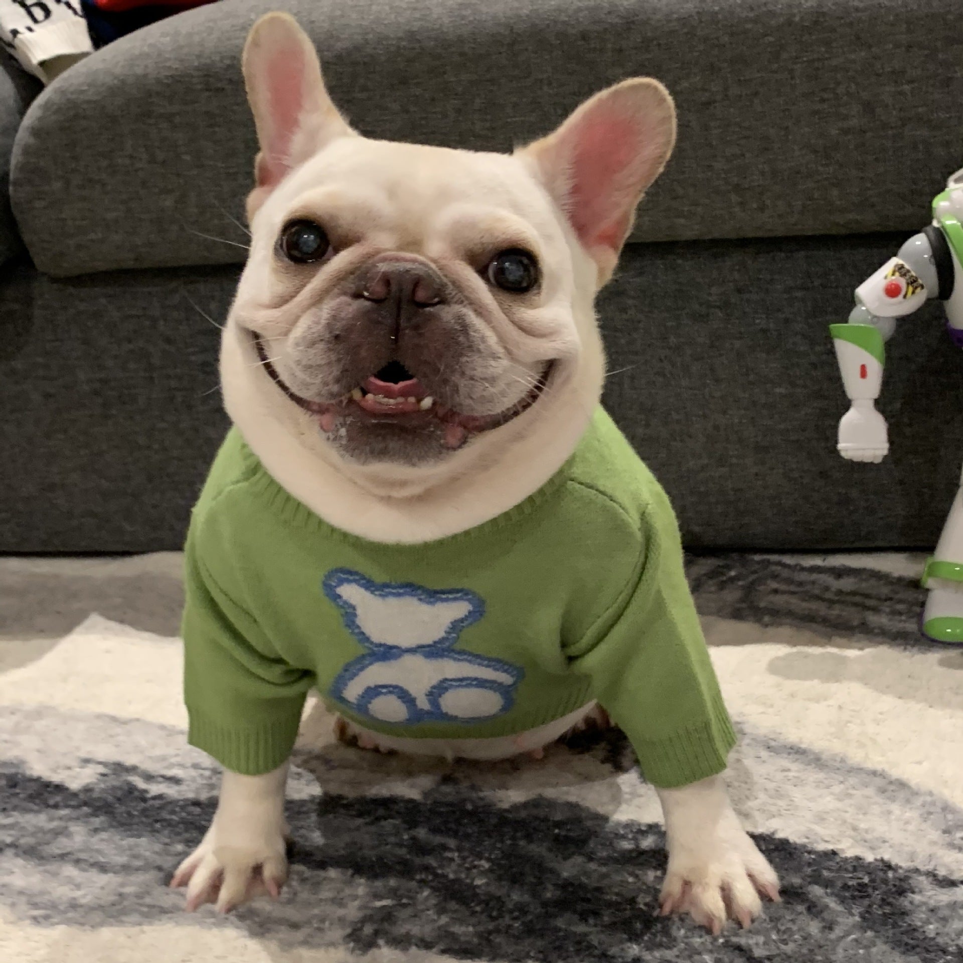 Fall Winter Thick Pet Sweater Warm Clothing