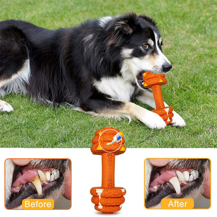 Durable Pet Chew Toy Food Grade Teeth Cleaning Interactive Toy