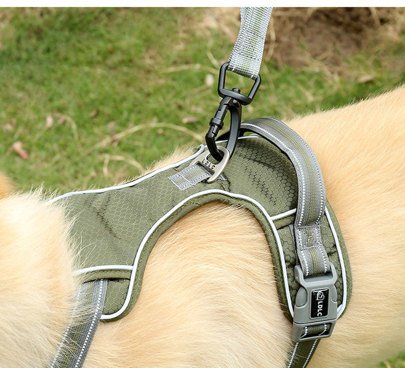 Fluorescent Pet Elastic Retractable Leash Explosion Proof Tool