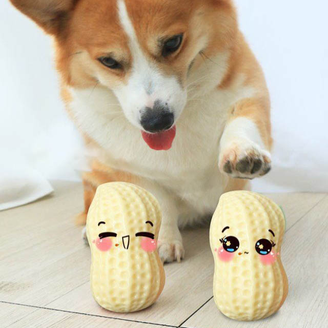 Funny Pet Squeaky Chew Toy Bite Resistant Dental Rubber