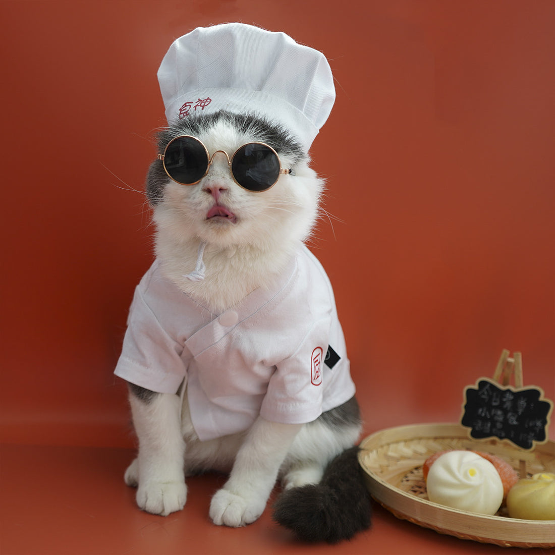 Pet Small Changing Clothes Suit