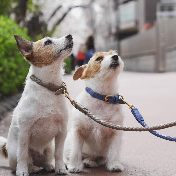 Large Pet Premium Heavy Duty Collar Sturdy Durable Training Tool