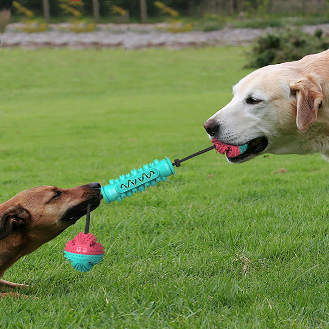 Durable Pet Chew Stick Teeth Cleaning Interactive Toy
