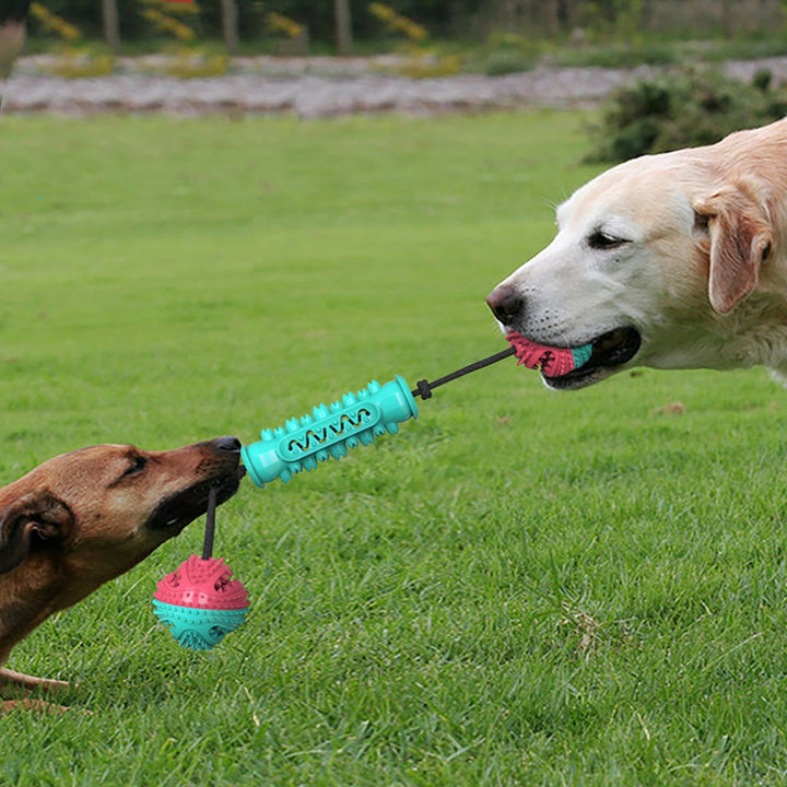 Durable Pet Chew Stick Teeth Cleaning Interactive Toy