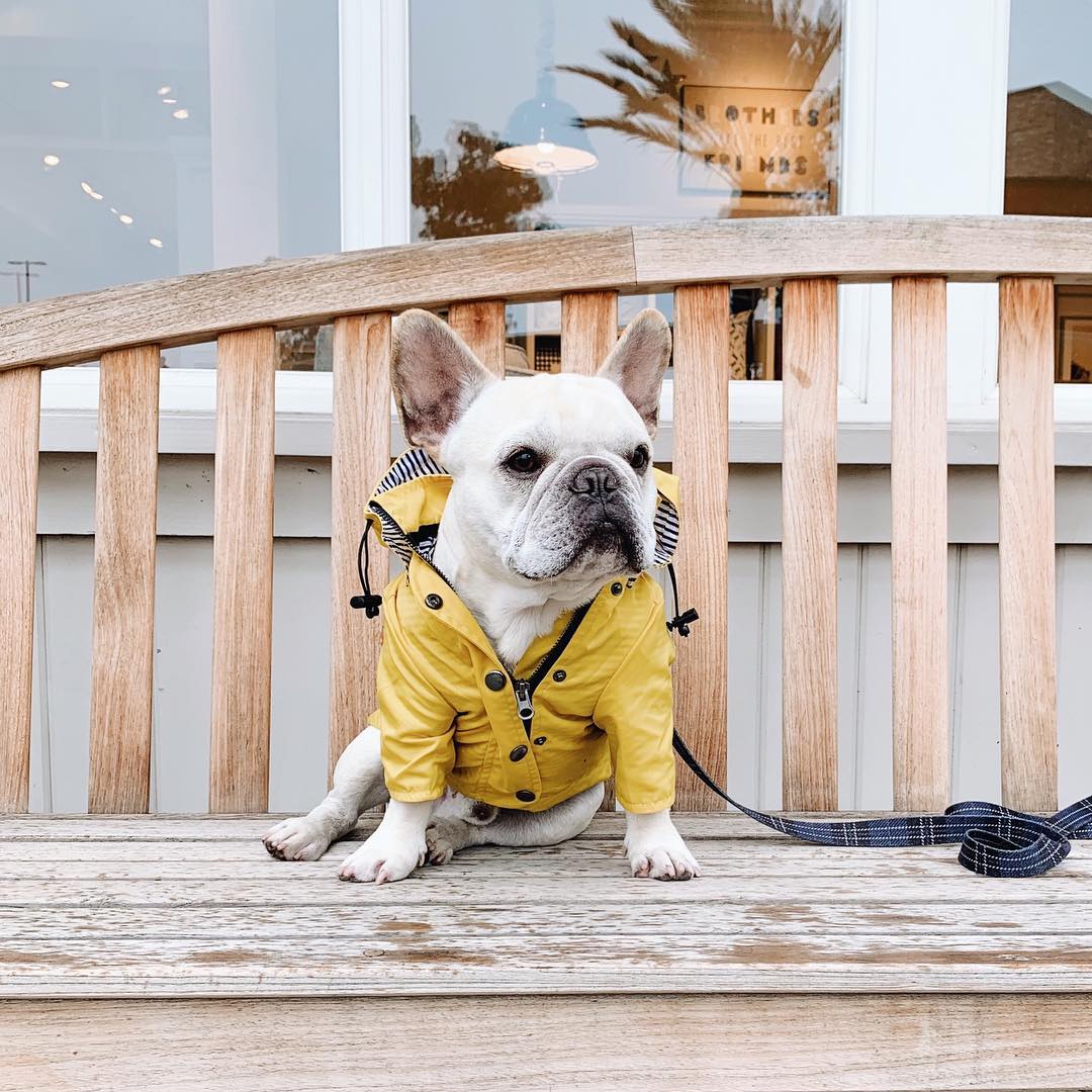 Waterproof Pet Raincoat Durable Protective Clothing