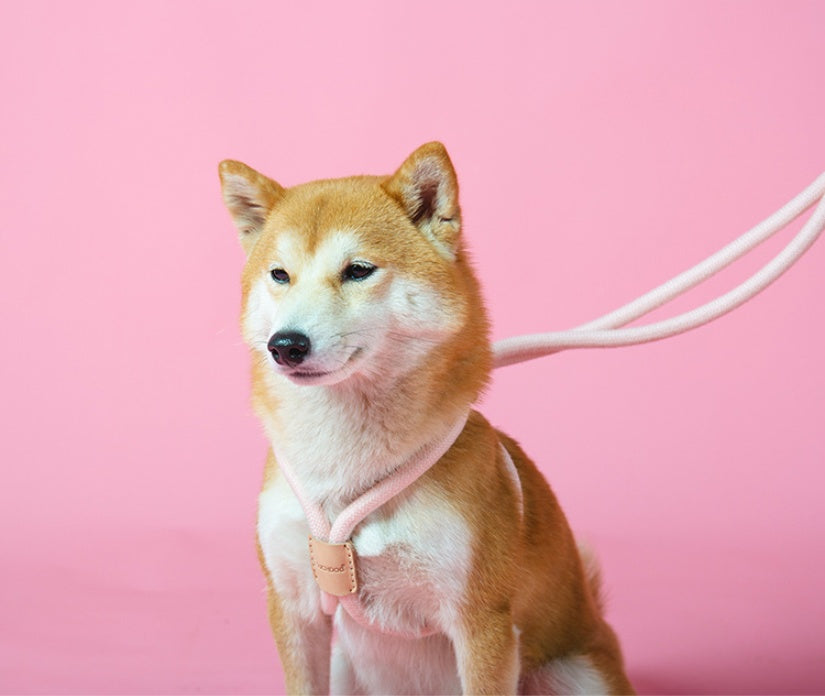 Pet Dual Purpose Round Rope Leash Integrated Walking Tool