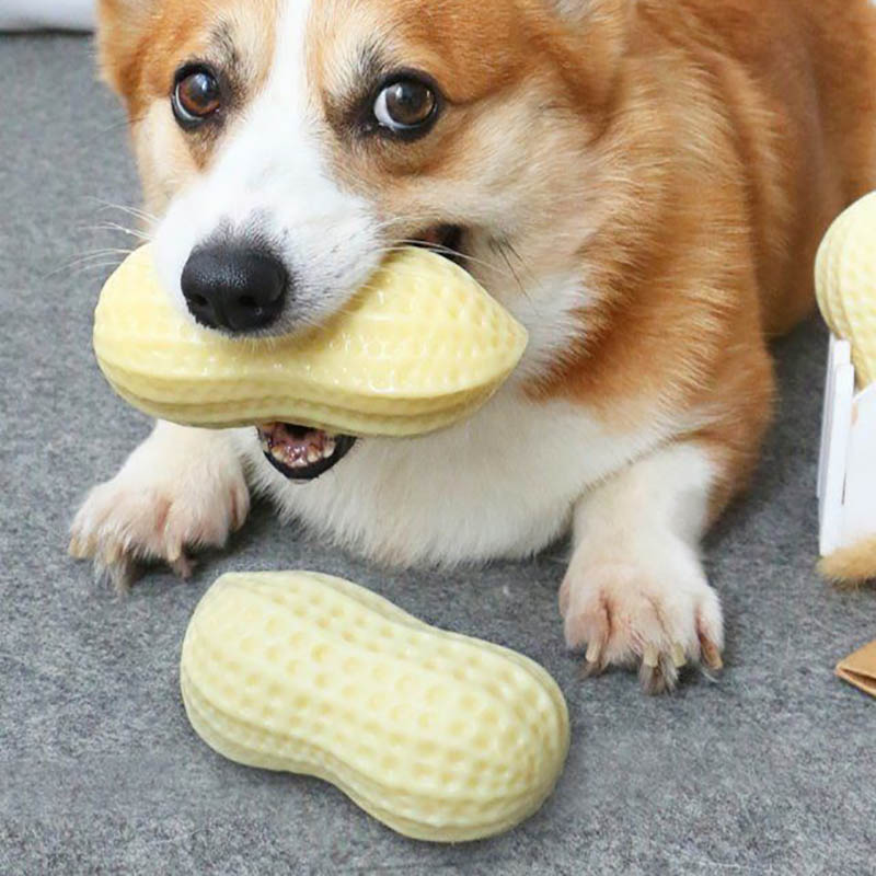 Funny Pet Squeaky Chew Toy Bite Resistant Dental Rubber