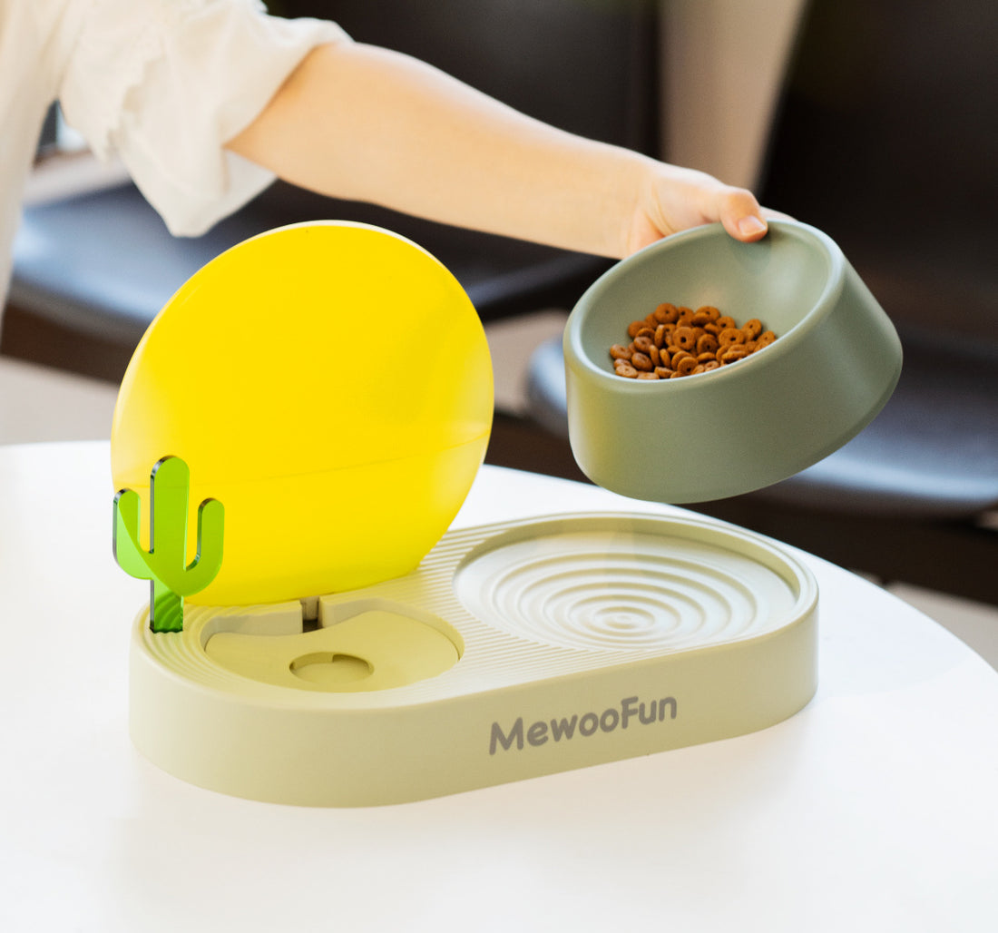 Double Bowl Plastic Pet Feeding And Water Basin