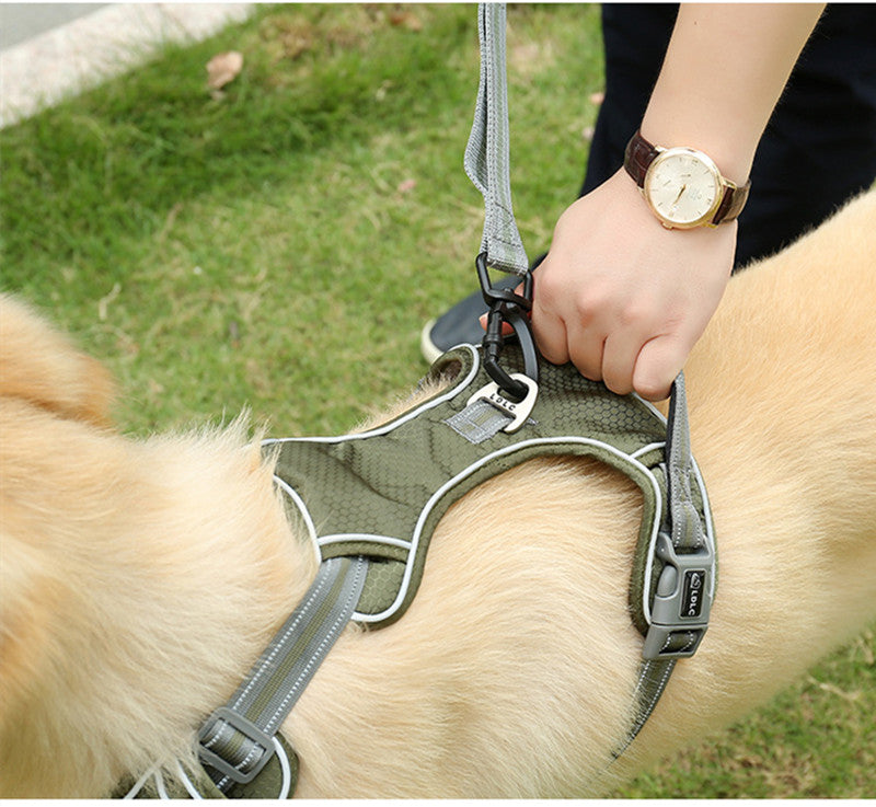 Fluorescent Pet Elastic Retractable Leash Explosion Proof Tool