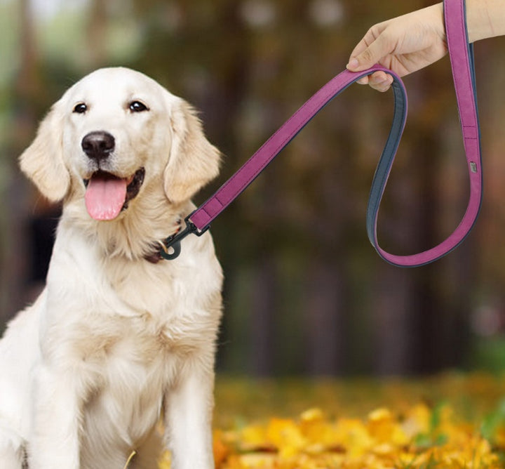 Pet Leather Pull Resistant Walking Leash Tool
