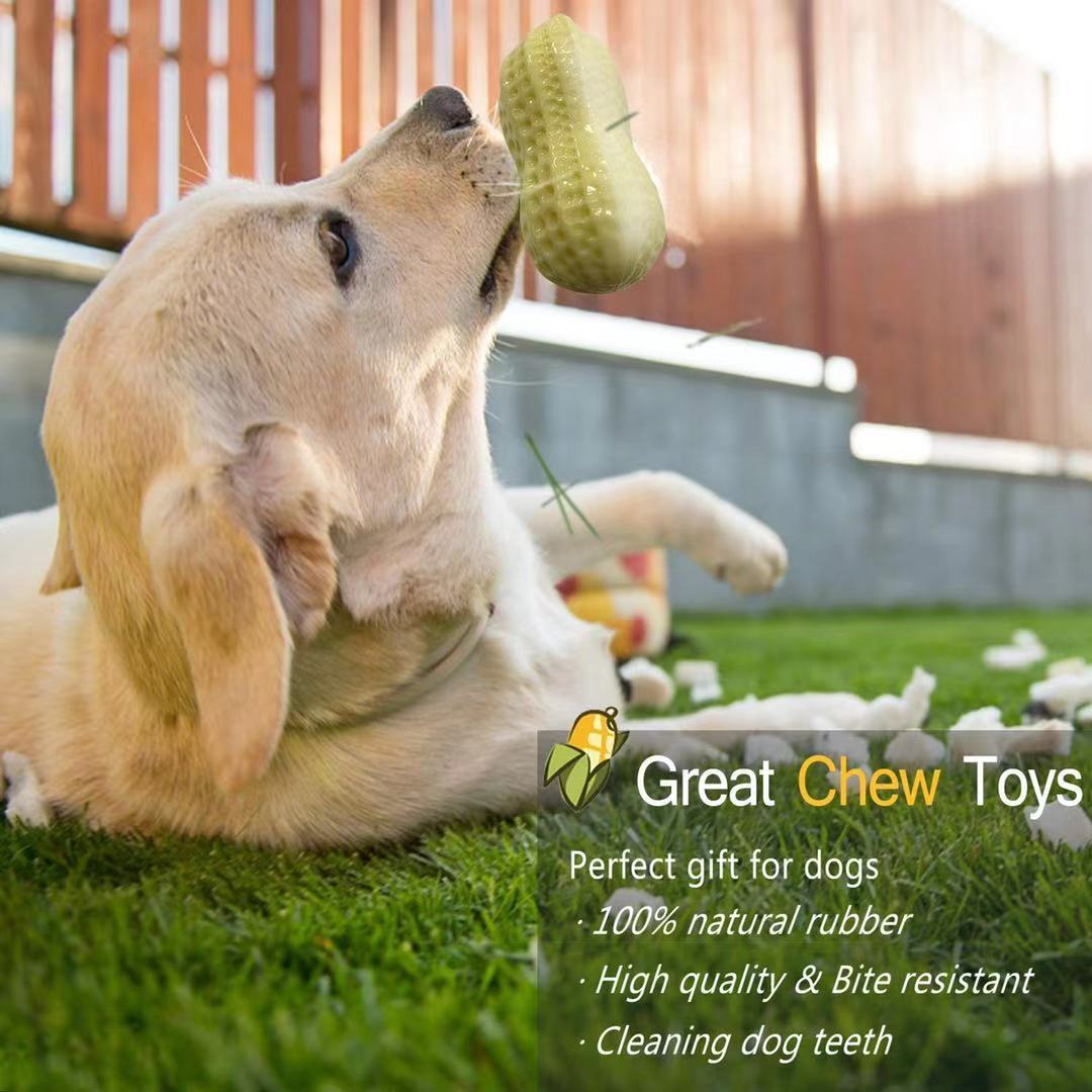 Funny Pet Squeaky Chew Toy Bite Resistant Dental Rubber