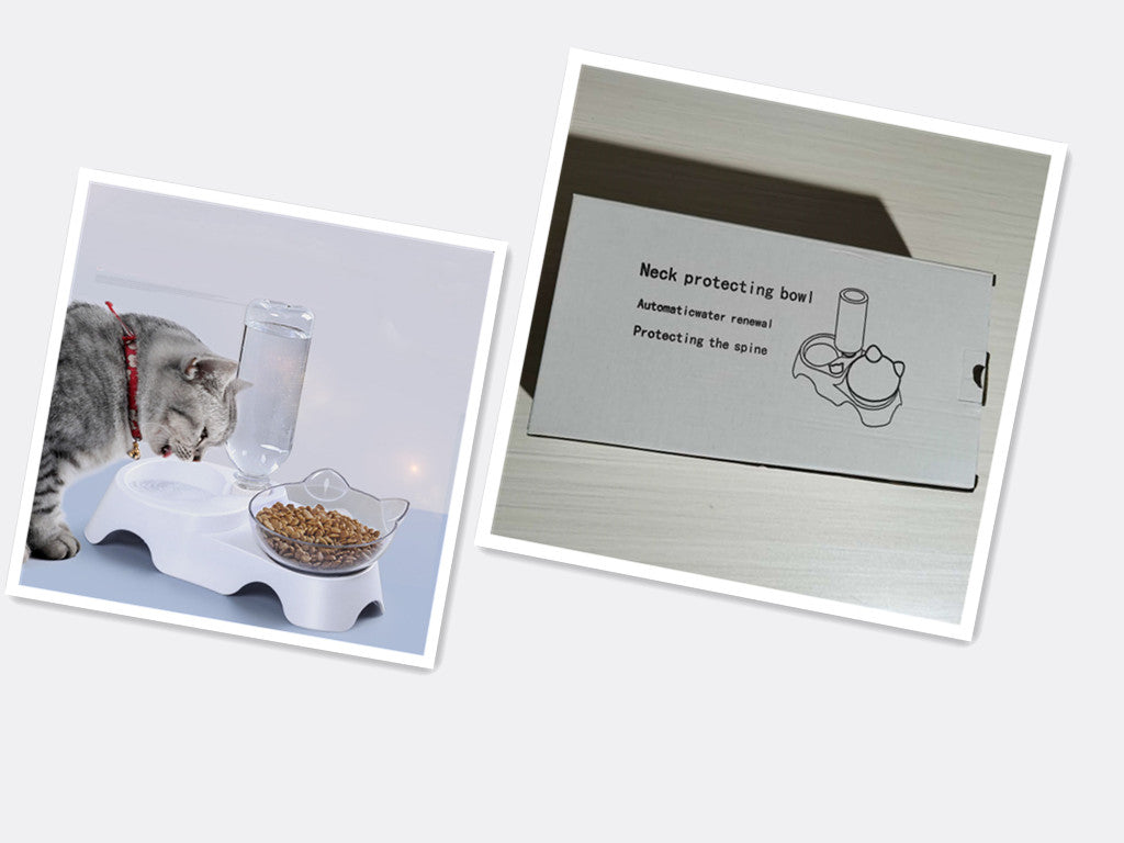 Pet Feeding Bowl Suit