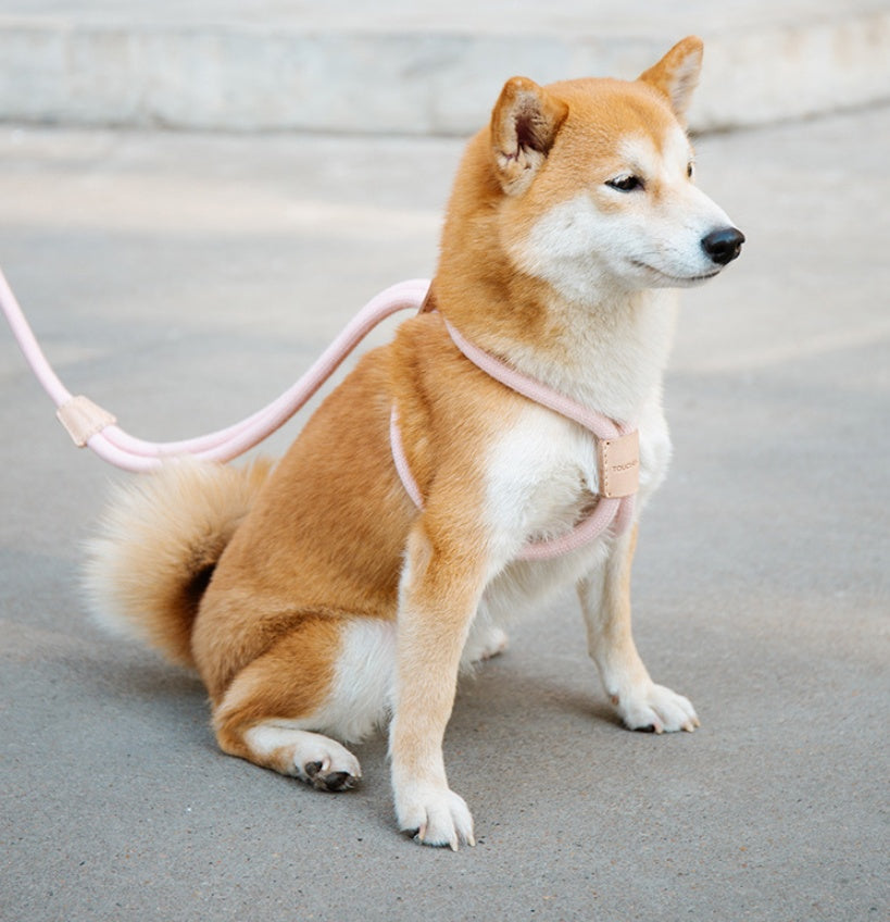 Pet Dual Purpose Round Rope Leash Integrated Walking Tool