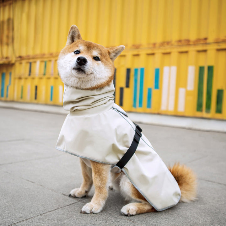 Pet Outdoor Waterproof Raincoat Clothing Suit