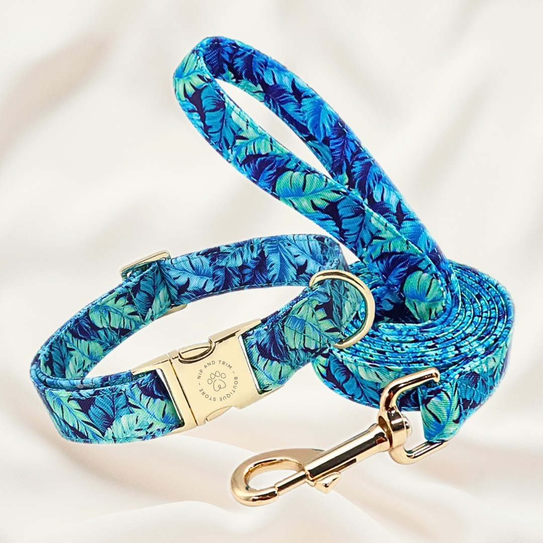 Custom Pet Collar ID Tag Lettering Identity Card