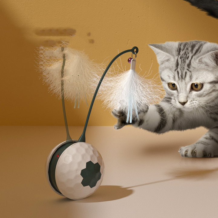 Electric Intelligent Pet Bite Resistant Interactive Toy