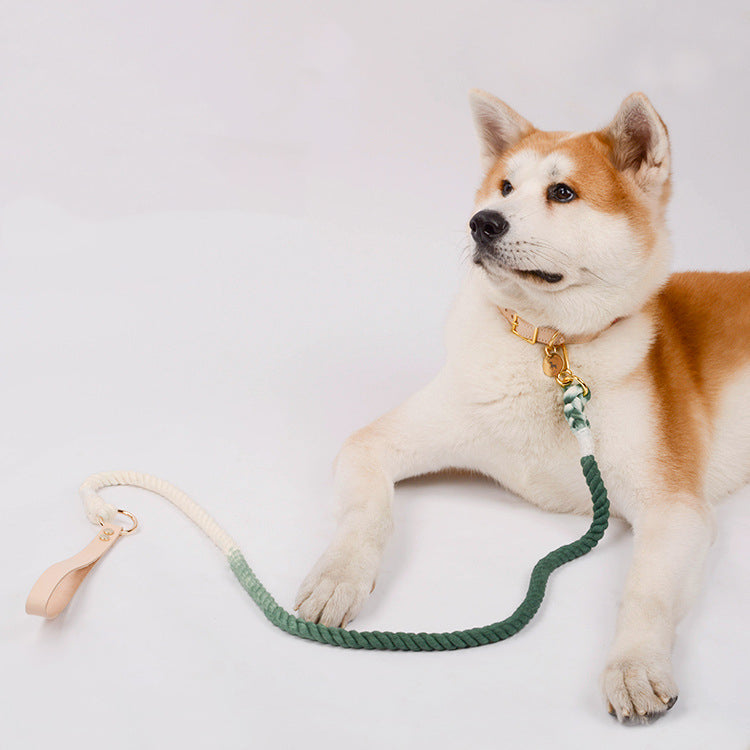 Gradient Rainbow Pet Traction Leash Colorful Walking Tool