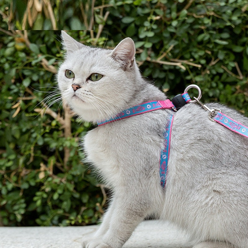 Pet Bell Chest Harness Vest Leash Walking Set