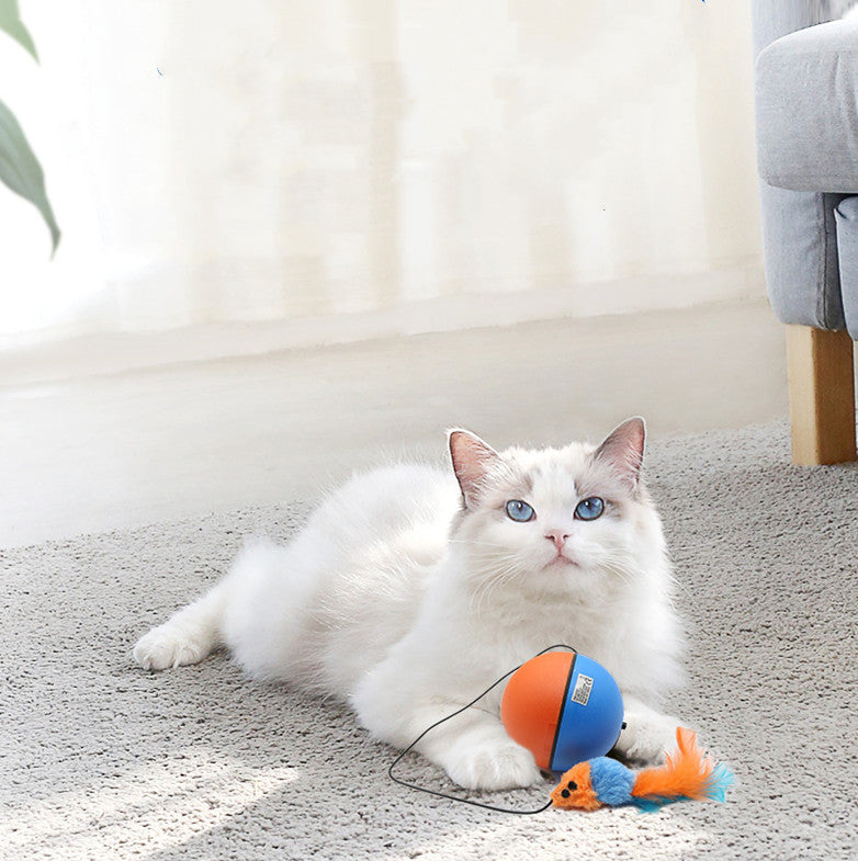Automatic Intelligent Pet Teasing Ball Teeth Grinding Toy