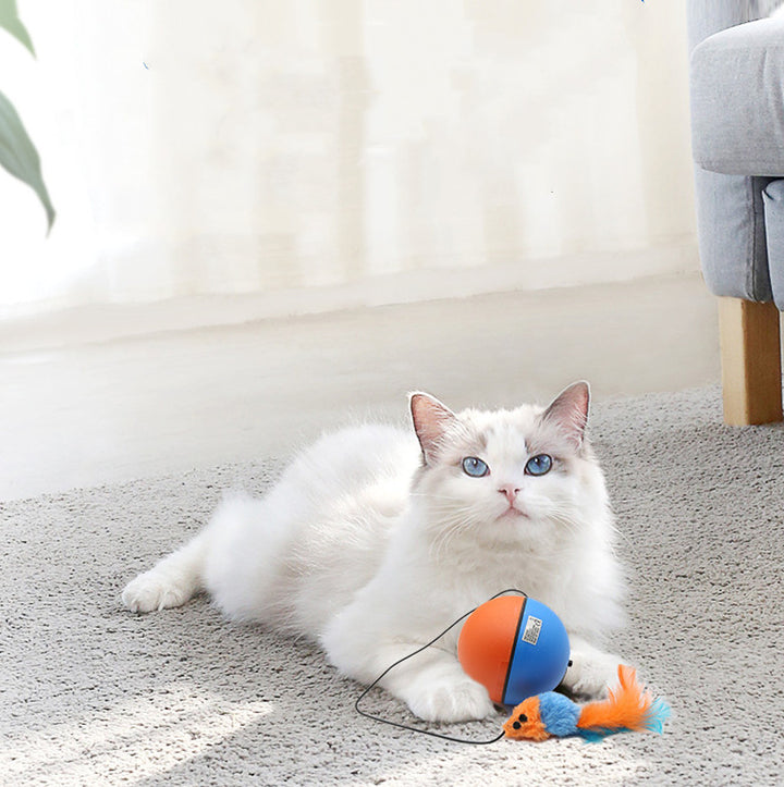 Automatic Intelligent Pet Teasing Ball Teeth Grinding Toy