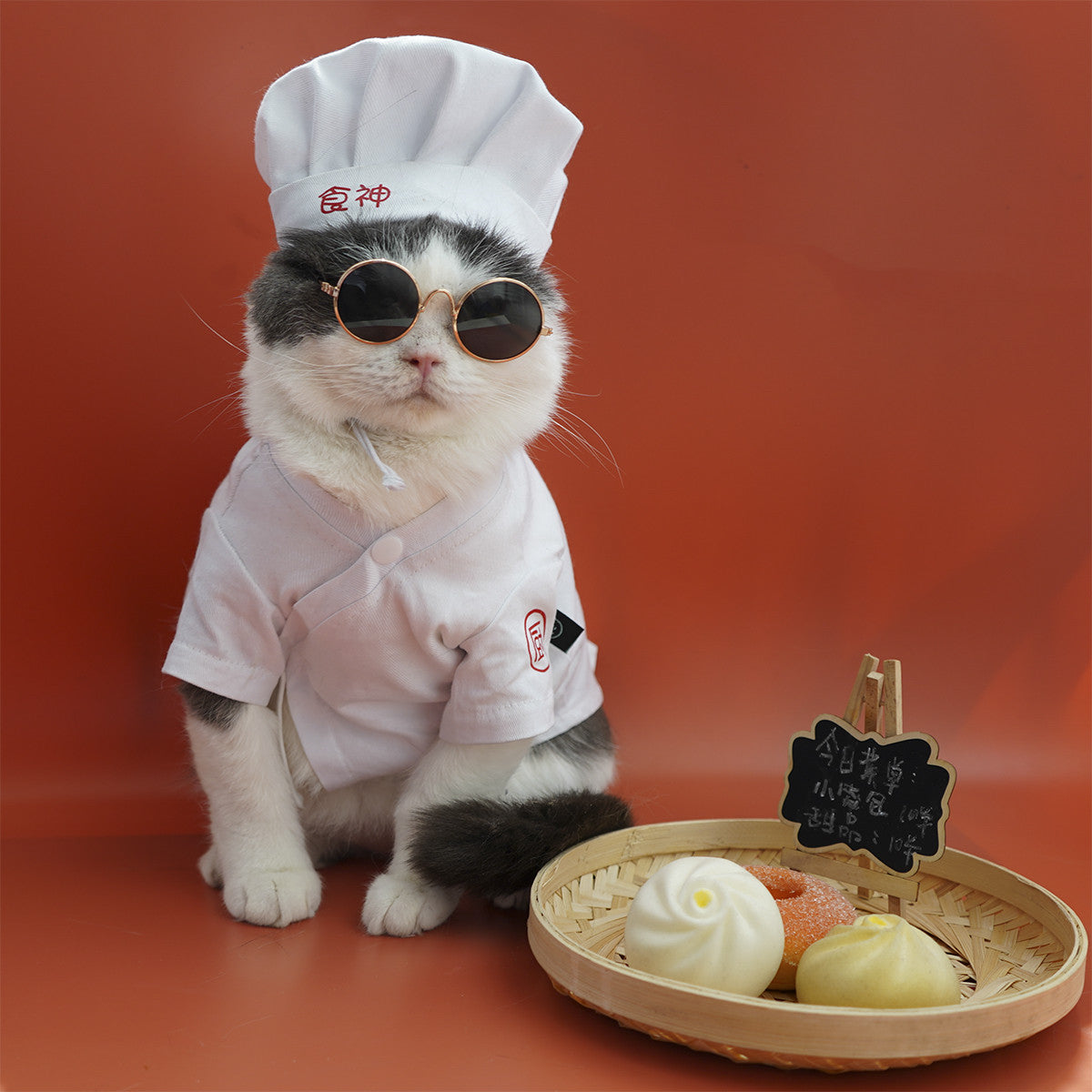 Pet Small Changing Clothes Suit