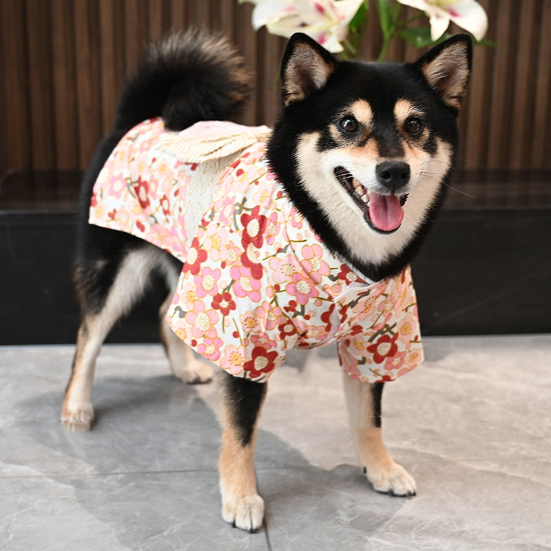 Pet Creative Printed Cotton Clothing Suit