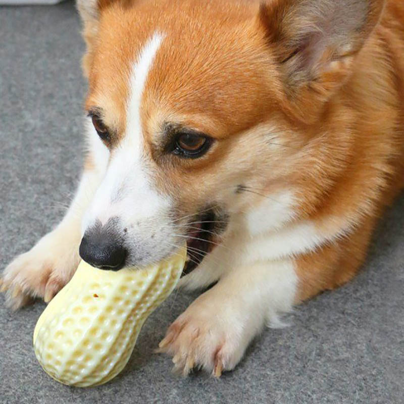 Funny Pet Squeaky Chew Toy Bite Resistant Dental Rubber