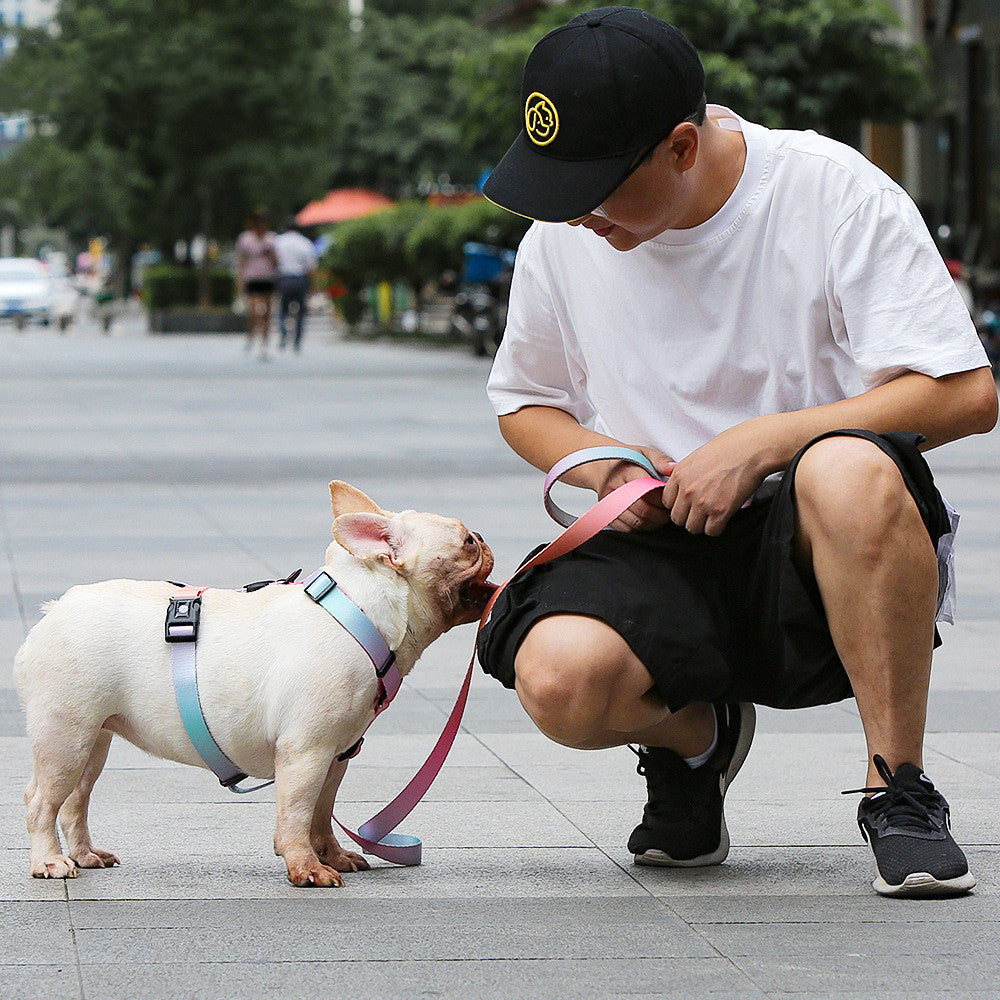 Small Medium Pet Leash Adjustable Durable Walking Rope