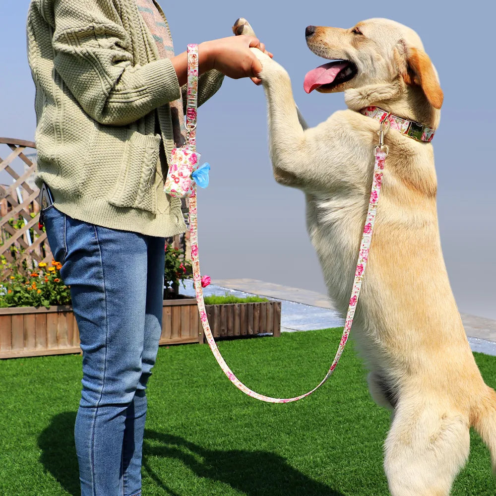 Custom Pet Collar ID Tag Lettering Identity Card