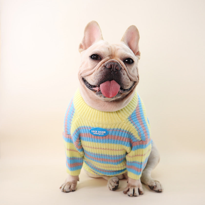 Autumn Winter Small Pet Sweater Warm Clothing