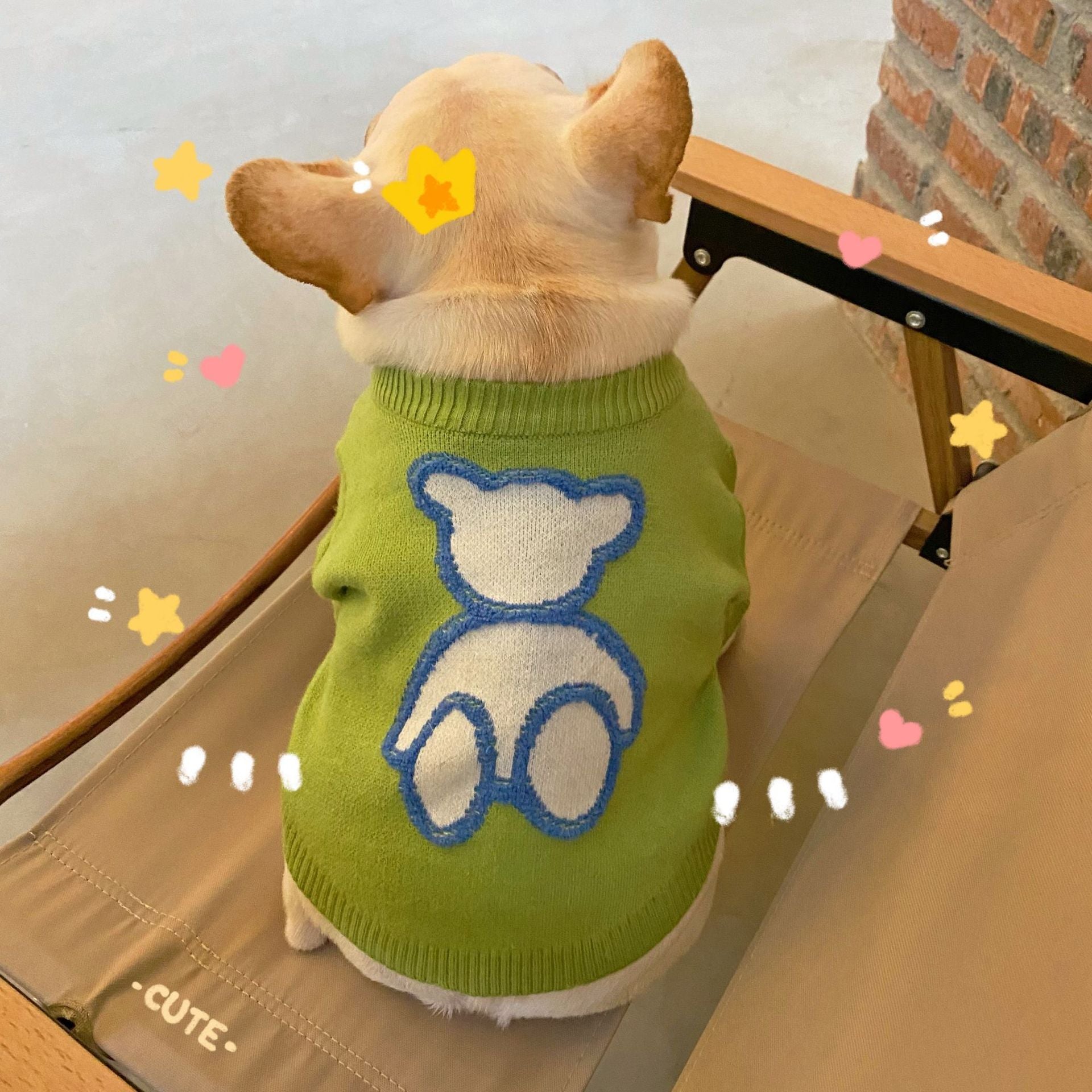 Fall Winter Thick Pet Sweater Warm Clothing