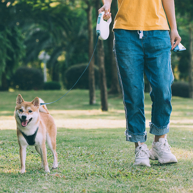 Retractable Pet Leash Adjustable Walking Tool