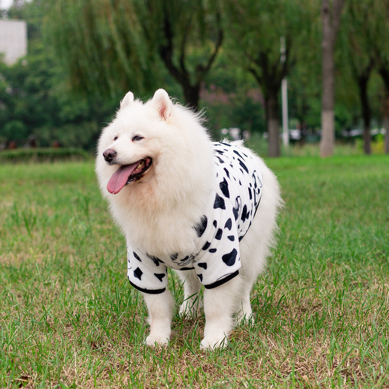 Pet Fashion Transformation Clothing Dress Suit
