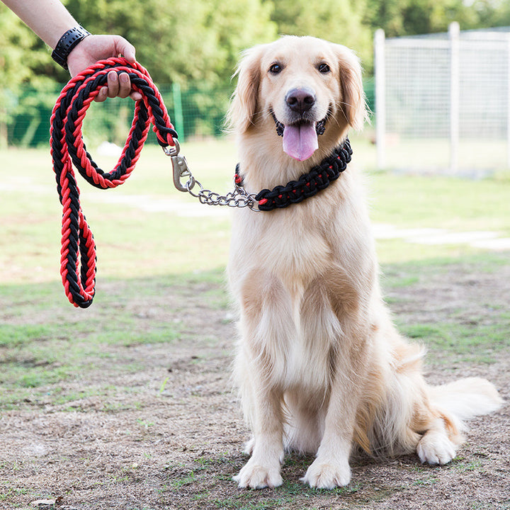 Heavy Duty Nylon Braided Pet Collar And Leash Training Set