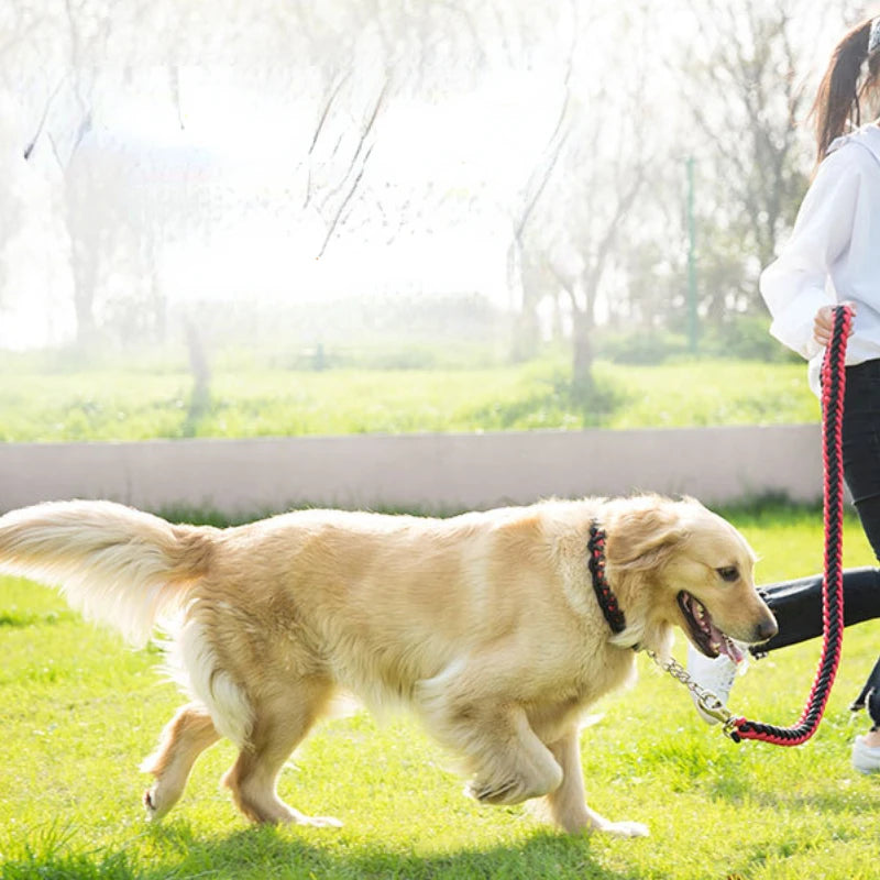Heavy Duty Nylon Braided Pet Collar And Leash Training Set