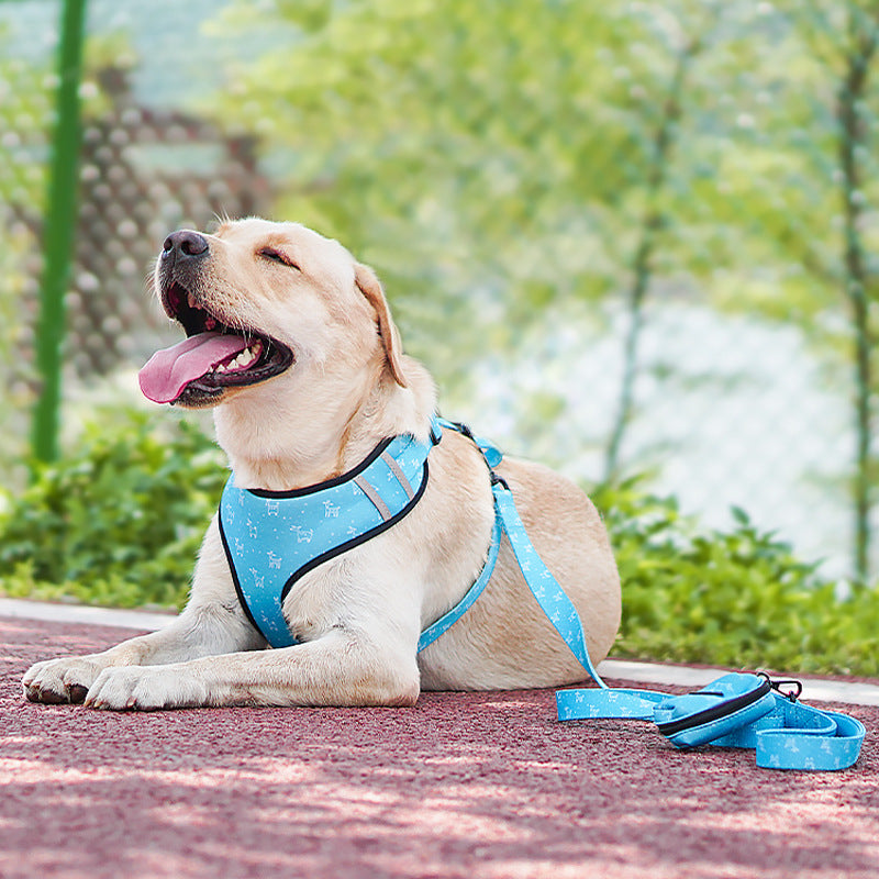 Bow Style Pet Harness Leash Adjustable Control Walking Rope