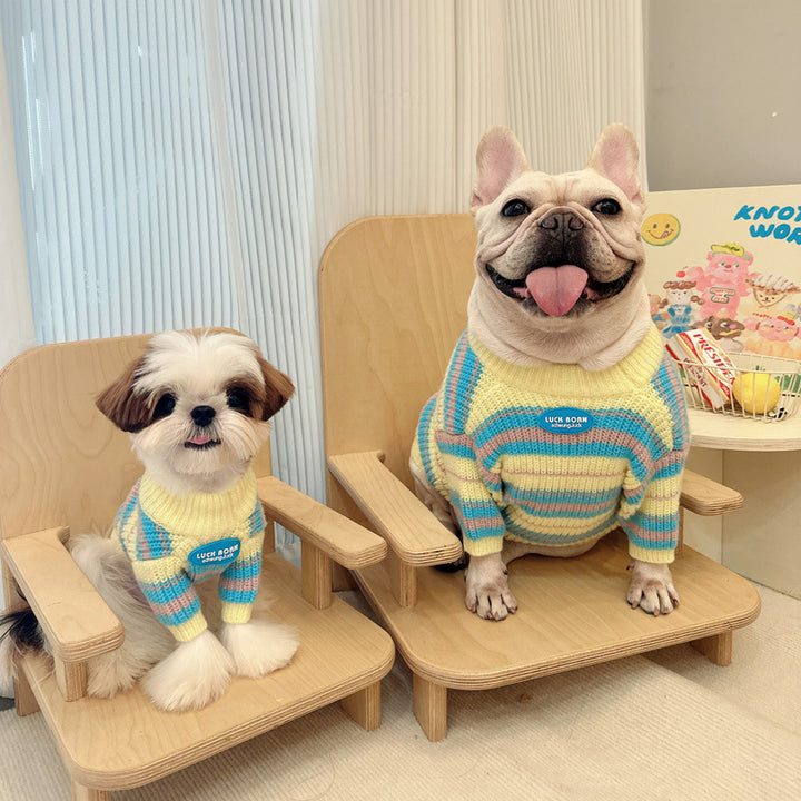 Autumn Winter Small Pet Sweater Warm Clothing