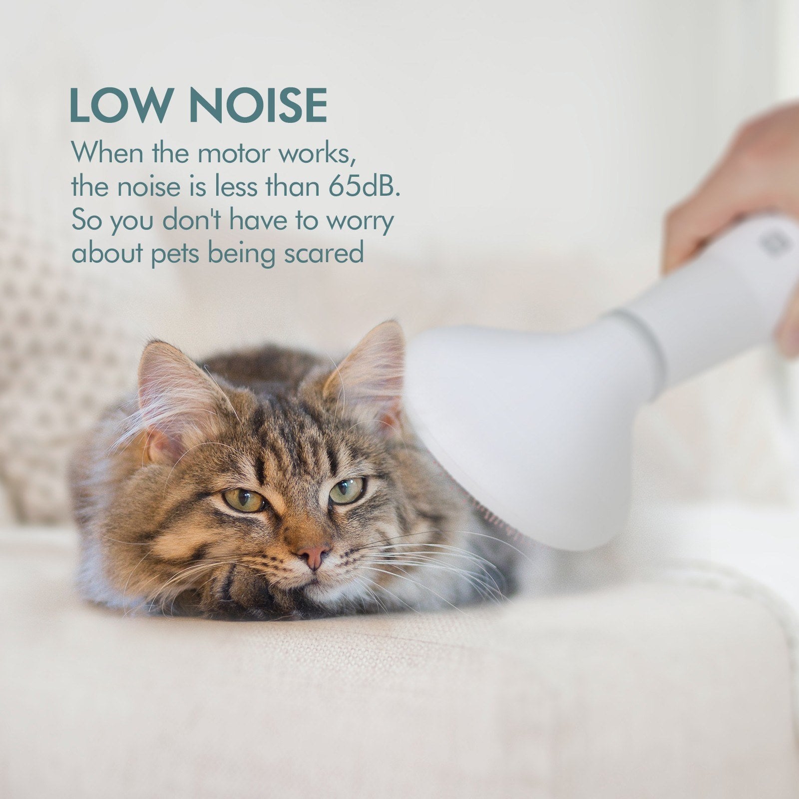 Dadypet Pet Grooming Hair Dryer Slicker Brush Tool