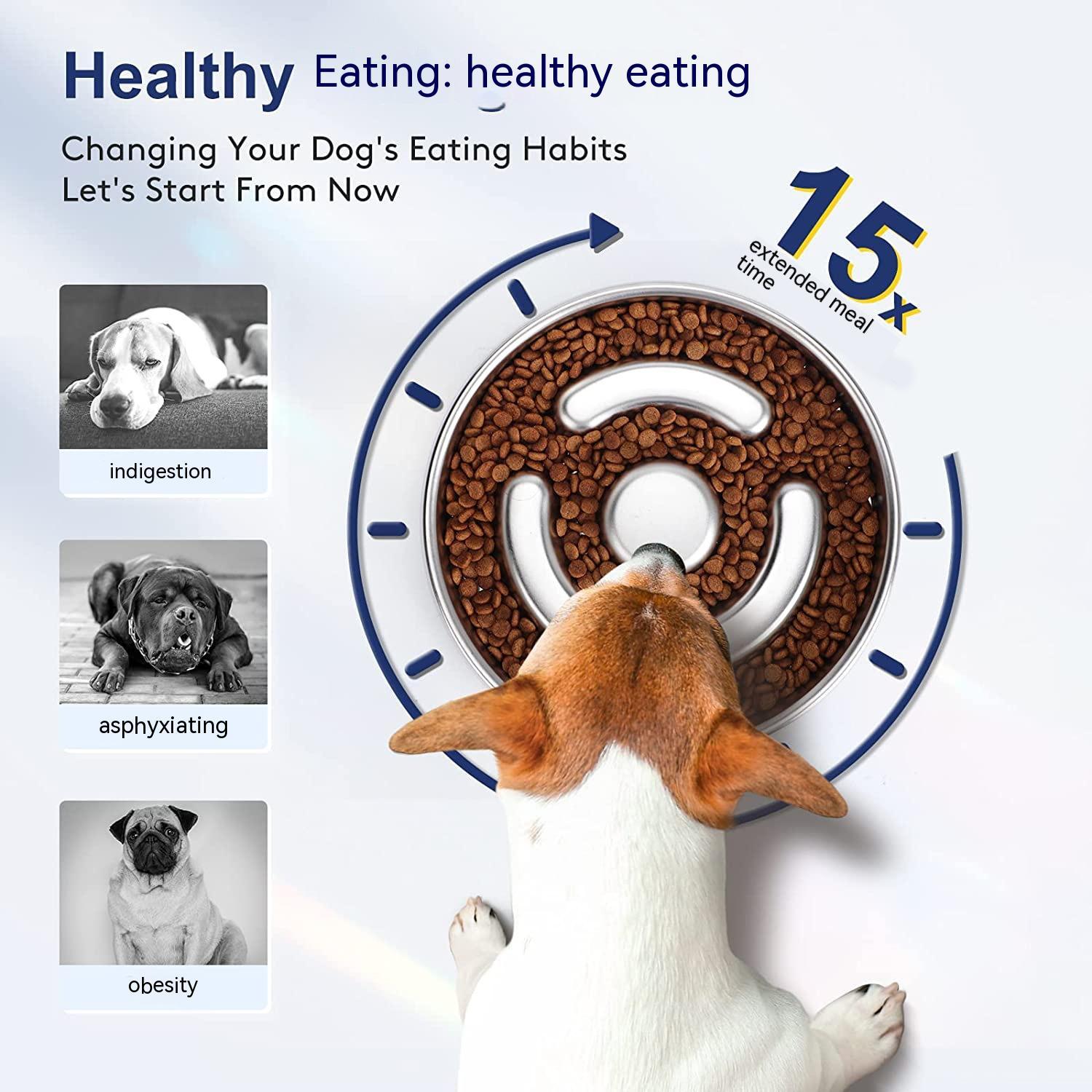 Pet Stainless Steel Slow Feeding Bowl Neck Protector Suit