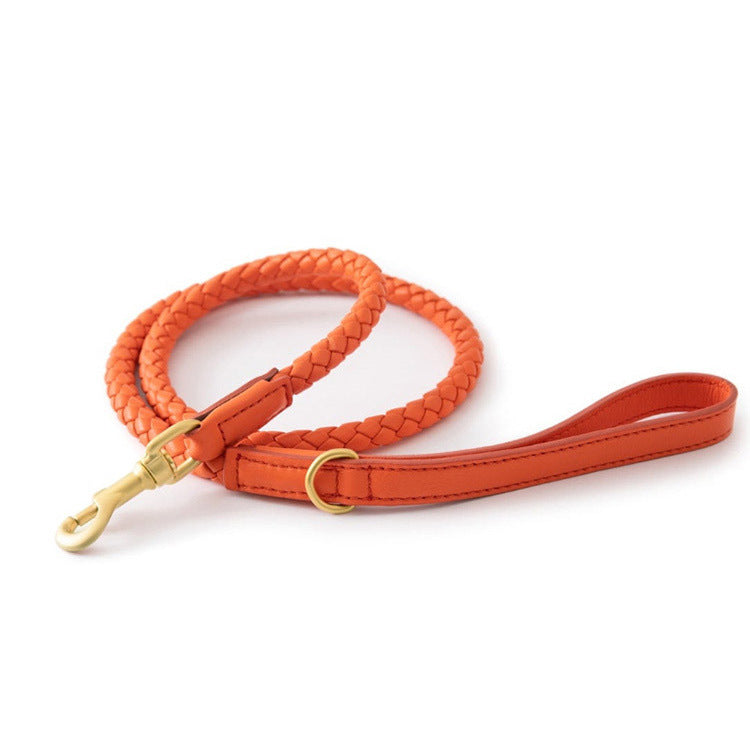 Large Pet Premium Heavy Duty Collar Sturdy Durable Training Tool